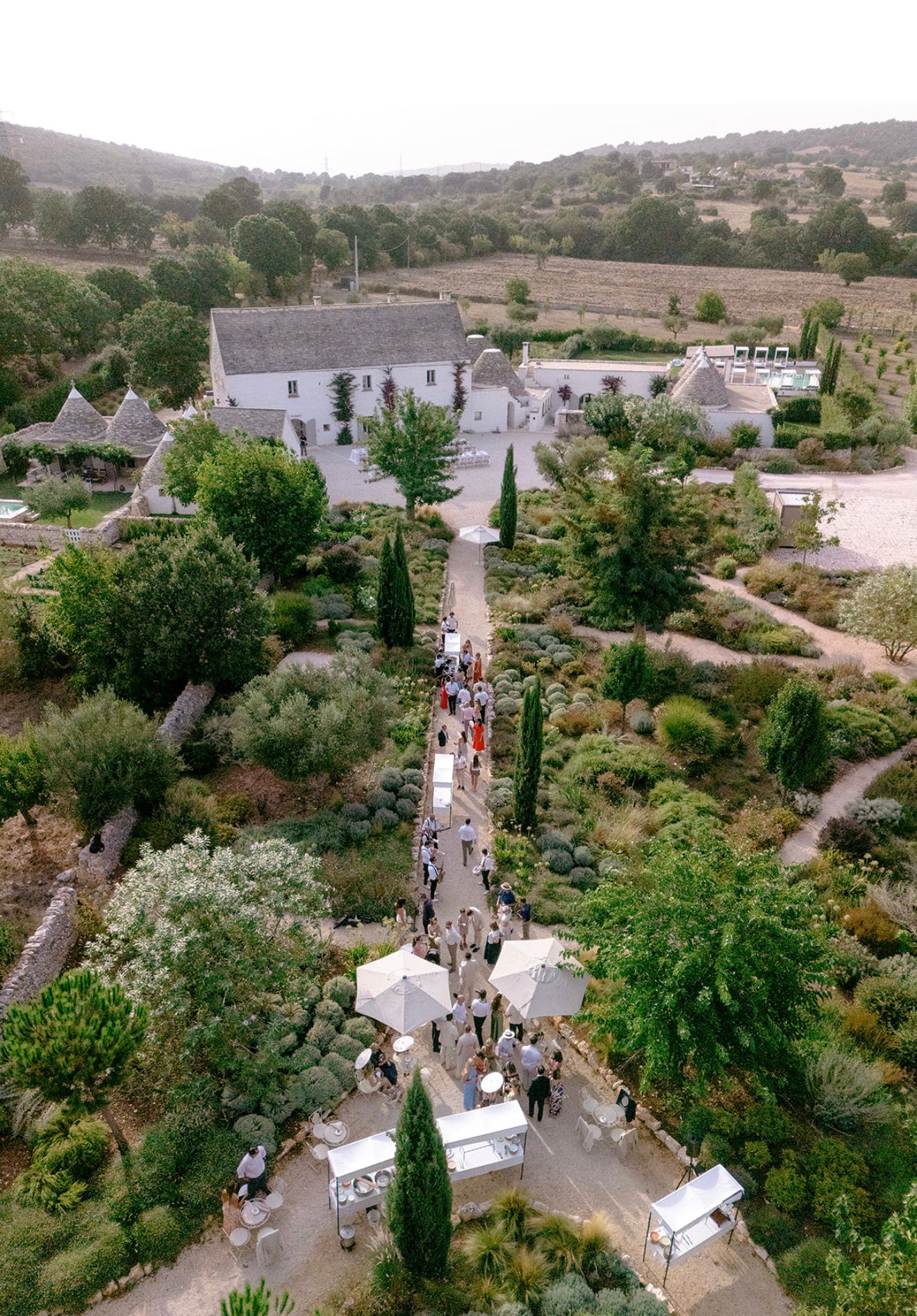 Wedding celebration among the garden planting