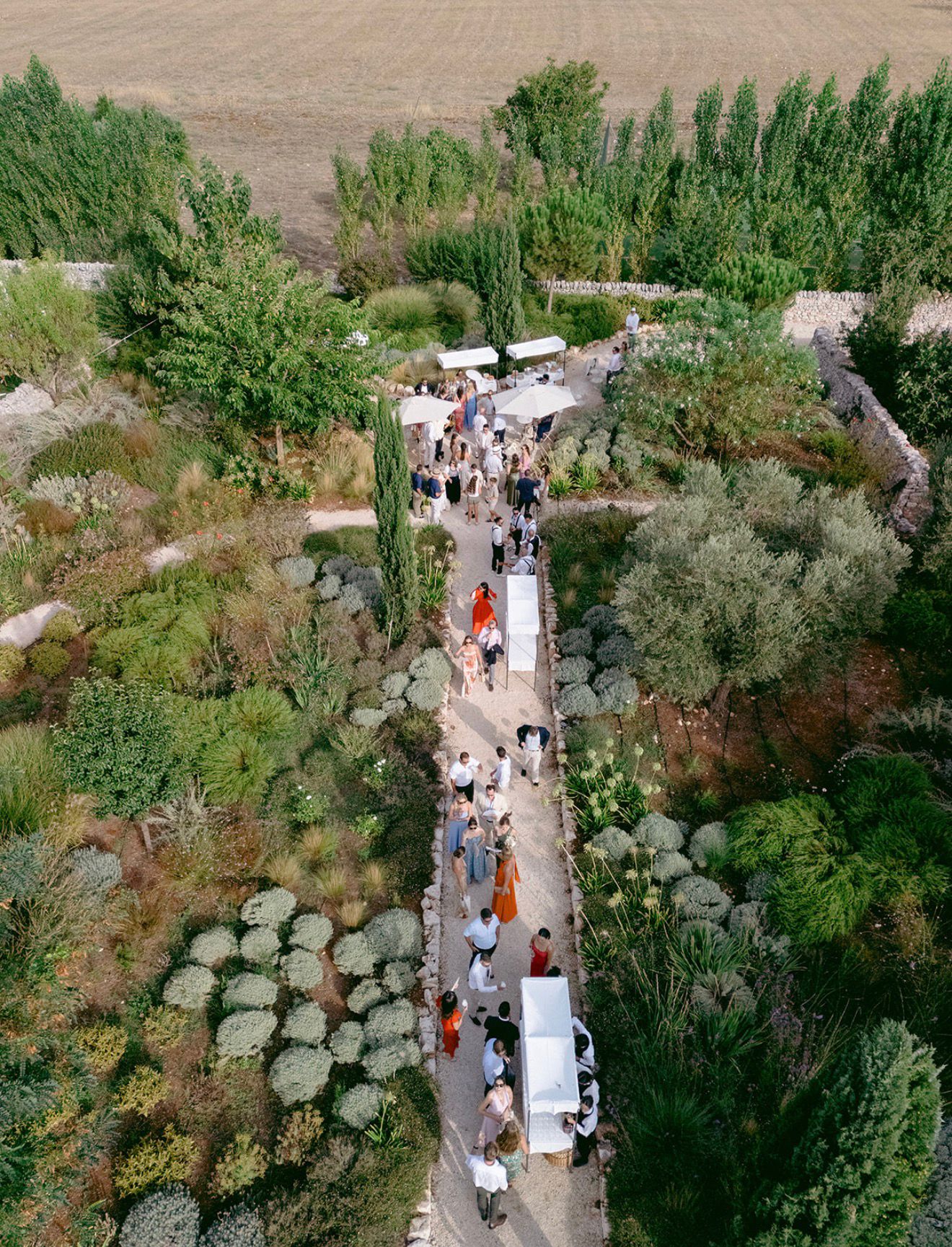 Wedding guests gathered along a garden terrace