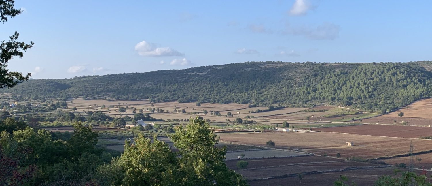 The Canale di Pirro countryside and vineyards around Masseria Pistola