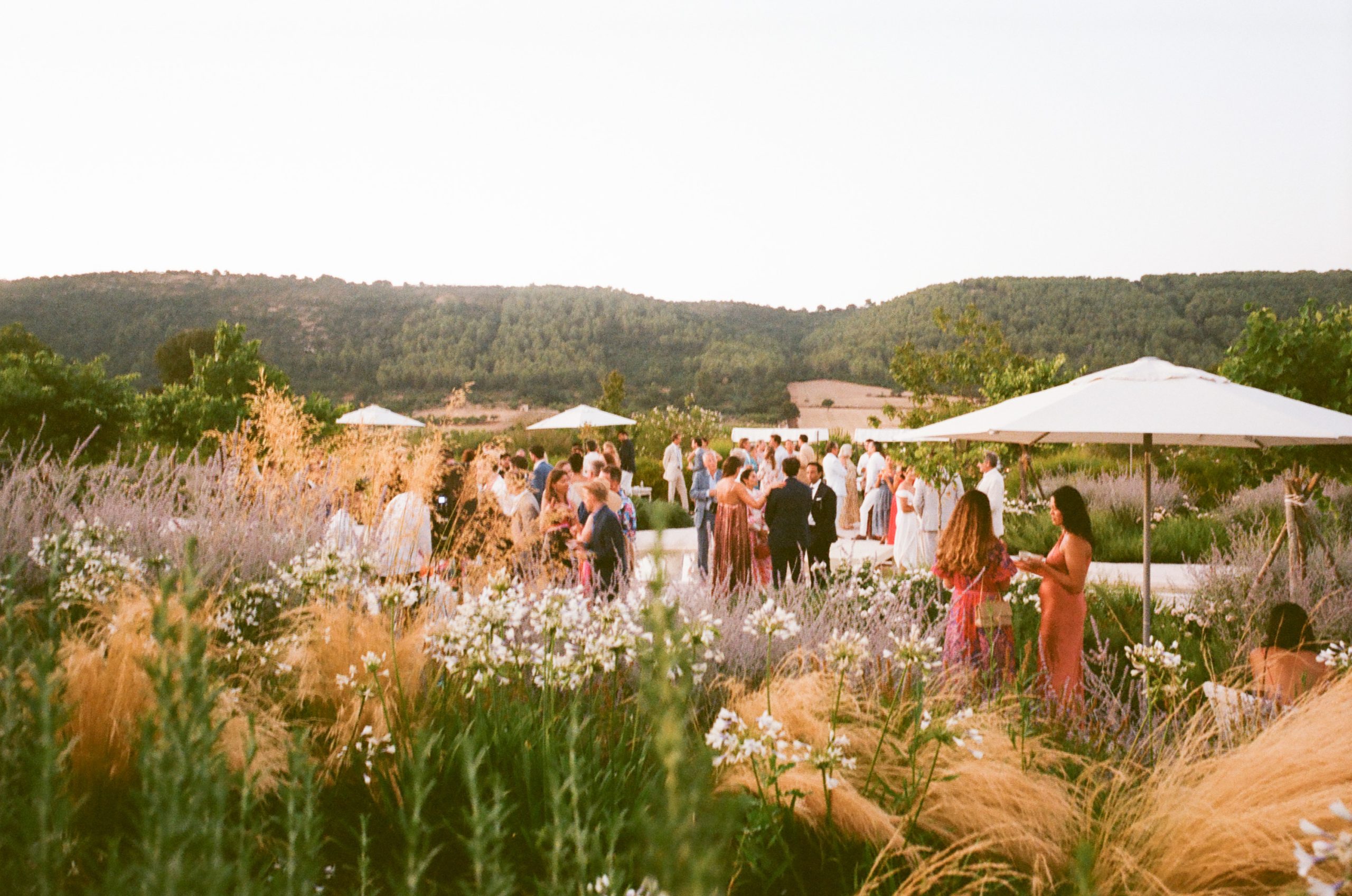 Guests enjoying sunset drinks among the flowering gardens at Giardini Pistola